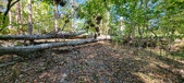 Enlarge photo 132
