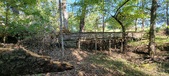 Enlarge photo 171