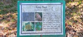 Enlarge photo 129