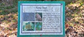 Enlarge photo 173