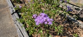 Enlarge photo 176
