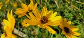 Enlarge photo 190