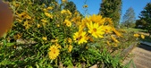 Enlarge photo 201