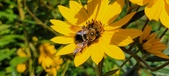 Enlarge photo 200