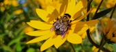 Enlarge photo 207