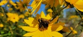 Enlarge photo 206