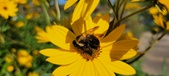 Enlarge photo 204