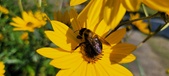 Enlarge photo 211