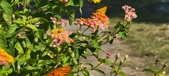 Enlarge photo 208
