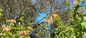 Enlarge photo 218
