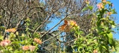 Enlarge photo 217