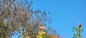 Enlarge photo 222