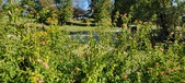 Enlarge photo 224