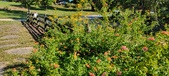 Enlarge photo 229