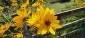 Enlarge photo 248