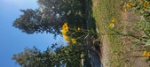 Enlarge photo 251