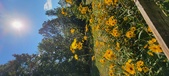 Enlarge photo 249