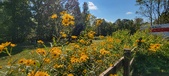 Enlarge photo 253