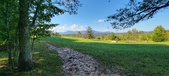 Enlarge photo 261