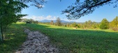 Enlarge photo 262