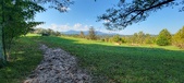 Enlarge photo 263