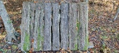 Enlarge photo 267