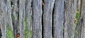 Enlarge photo 266