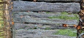 Enlarge photo 265