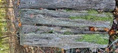 Enlarge photo 271