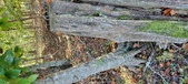 Enlarge photo 270
