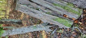 Enlarge photo 269