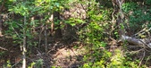 Enlarge photo 275