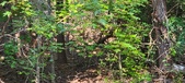 Enlarge photo 274