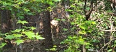 Enlarge photo 273