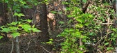 Enlarge photo 280