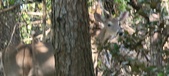 Enlarge photo 277