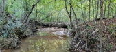 Enlarge photo 282