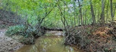 Enlarge photo 281