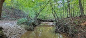 Enlarge photo 287