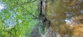 Enlarge photo 286