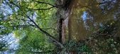 Enlarge photo 285