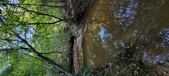 Enlarge photo 288