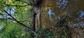 Enlarge photo 292