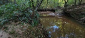 Enlarge photo 291