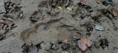 Enlarge photo 289
