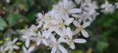 Enlarge photo 122