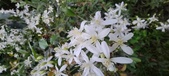 Enlarge photo 121