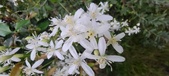 Enlarge photo 119