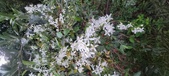 Enlarge photo 118