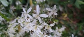 Enlarge photo 117